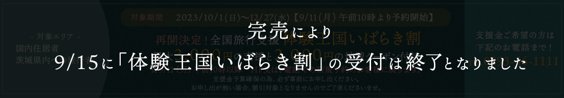 全国旅行支援